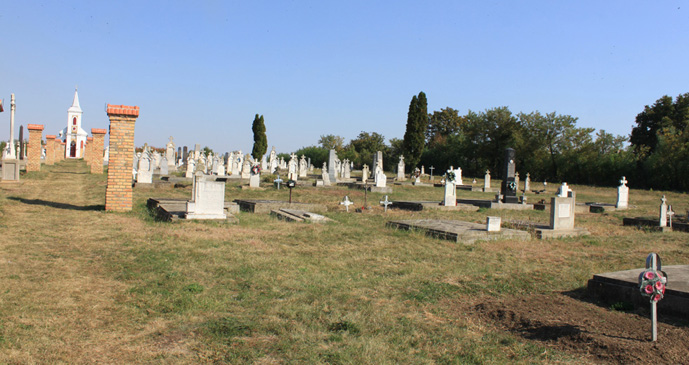 Friedhof 2018